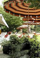 Cafe, Kuchen, Torten, Frhstck, Weine in der Conditorei - Caf